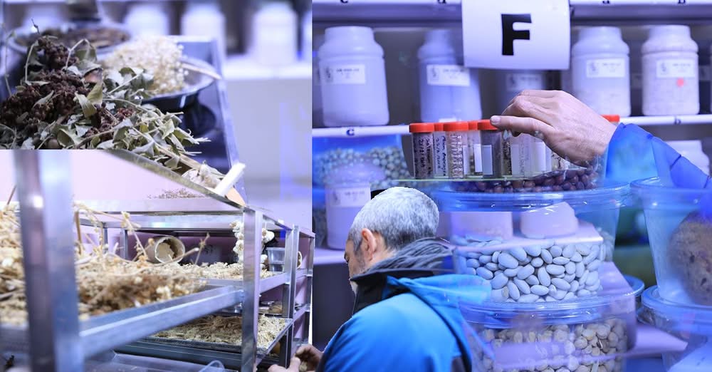 Frø, folkemord og vor fælles fremtid